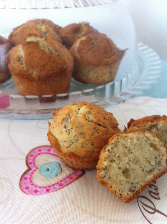 muffin semi papavero
